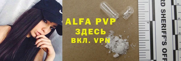 крисы Абаза