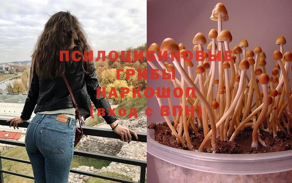 МДМА Абдулино