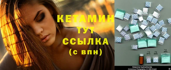 крисы Абаза