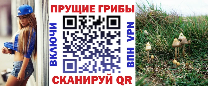 Галлюциногенные грибы Magic Shrooms закладка Сусуман